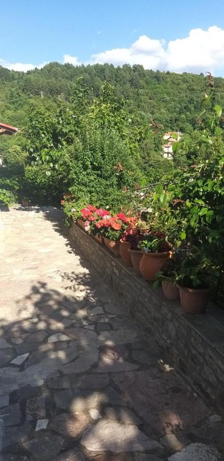 카페니시온 Το Σπίτι Της Ευτυχίας Στούντιο 아파트 외부 사진